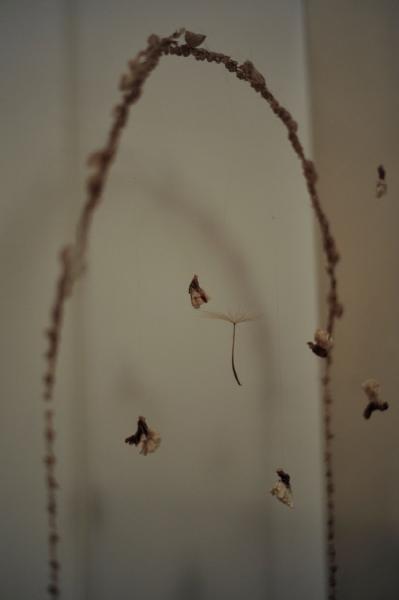 Photoset